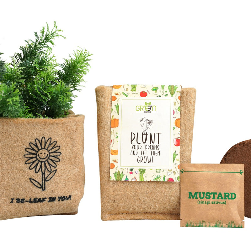 DIY Plant Grow Kit