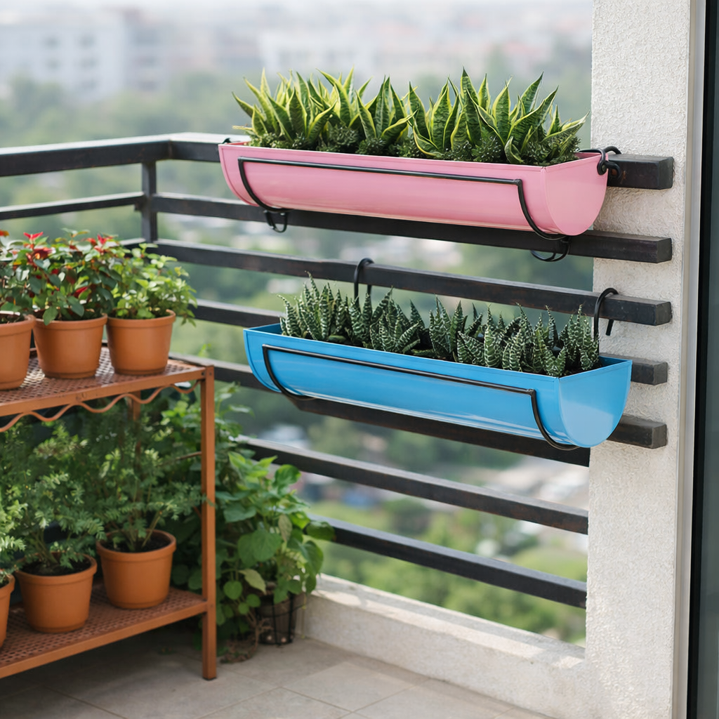 Succulent plants growing in hanging railing planters -myBageecha