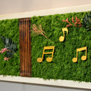 Sound of Music Moss Frame with White Wood