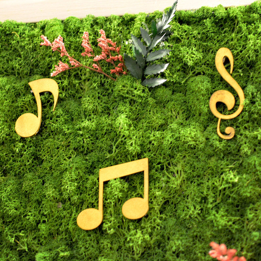 Sound of Music Preserved Moss Frame with White Wood - myBageecha