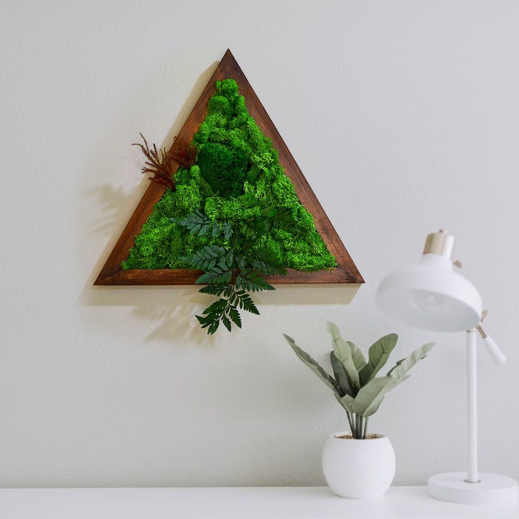 Triad Wilderness Preserved Moss Frame with Dark Wood