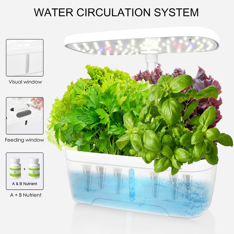 Smart Garden - Indoor Hydroponic Growing Kit - 6 Pods