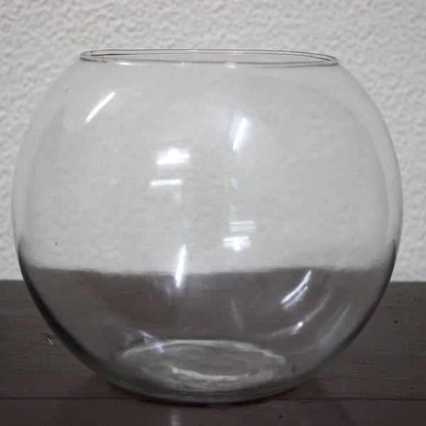 Buy Glass Pots Online Terrariums, Planters & More MyBageecha