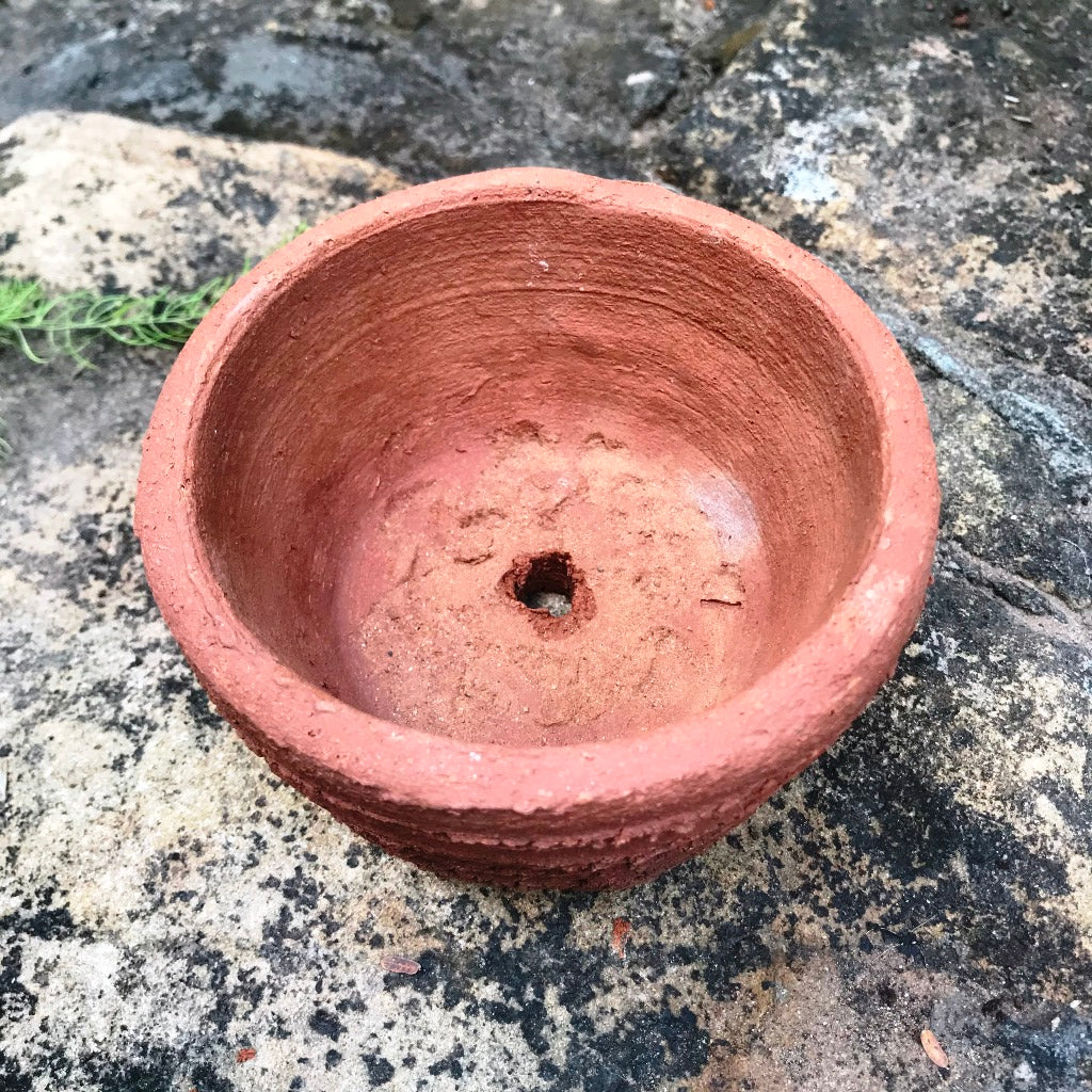 Set of 4 Round Bonsai Terracotta Pots - myBageecha