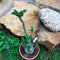 Adenium Arabicum - Green Pod Plant