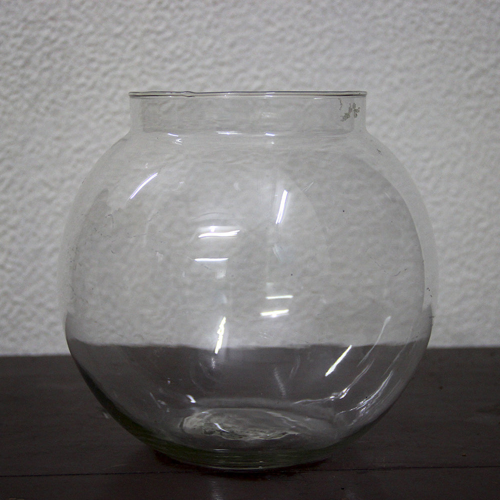 Buy Glass Pots Online Terrariums, Planters & More MyBageecha