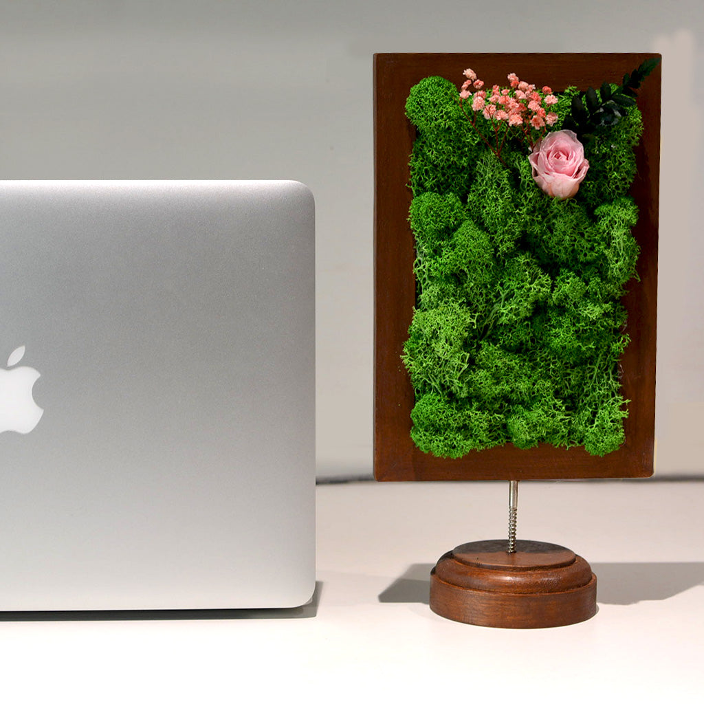A Dainty Bloom in Pink Tabletop Preserved Moss Frame - myBageecha