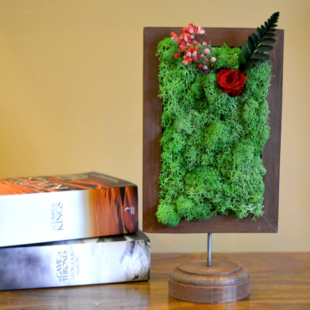 A Dainty Bloom in Red Tabletop Preserved Moss Frame - myBageecha