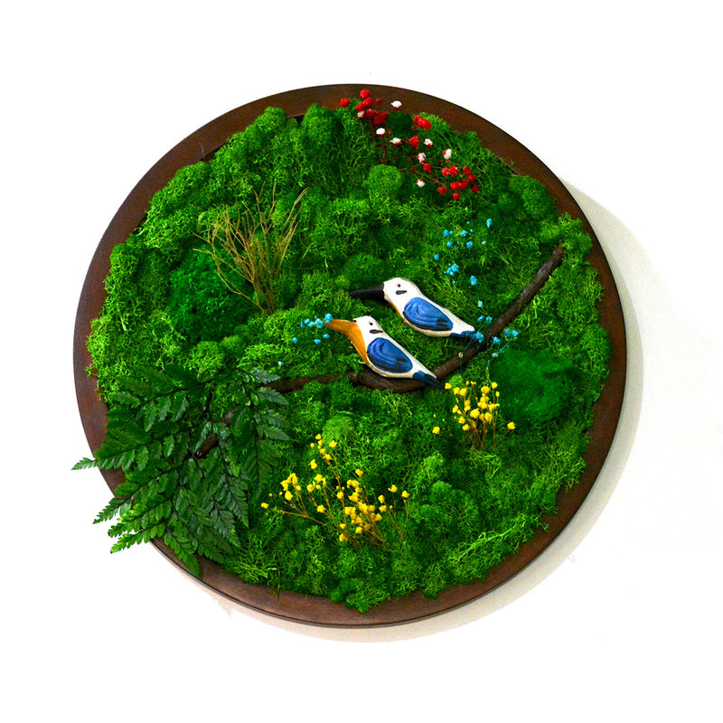 A Sapphire Tangle Moss Frame with Dark Wood