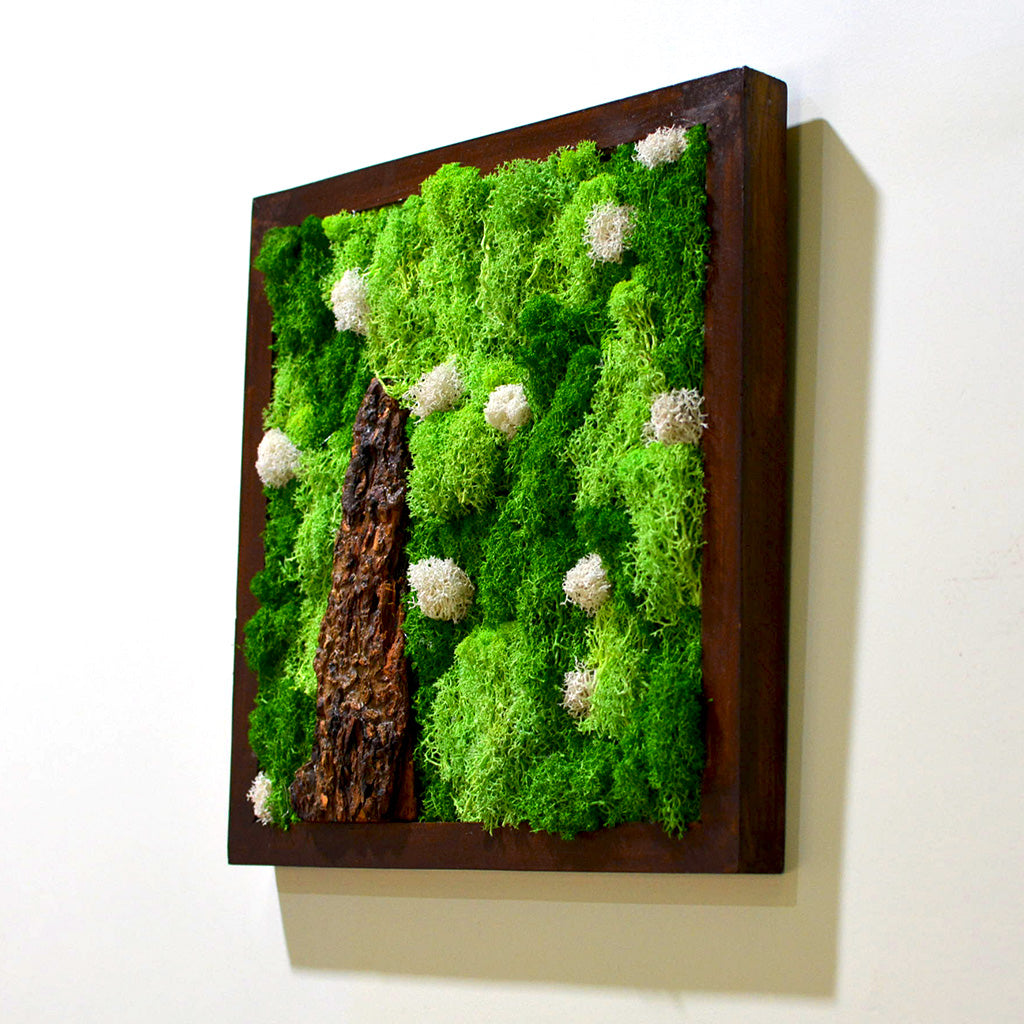 A Lichen Bog Preserved Moss Frame with Dark Wood - myBageecha