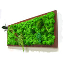 A Mystical Forest Moss Frame with Dark Wood