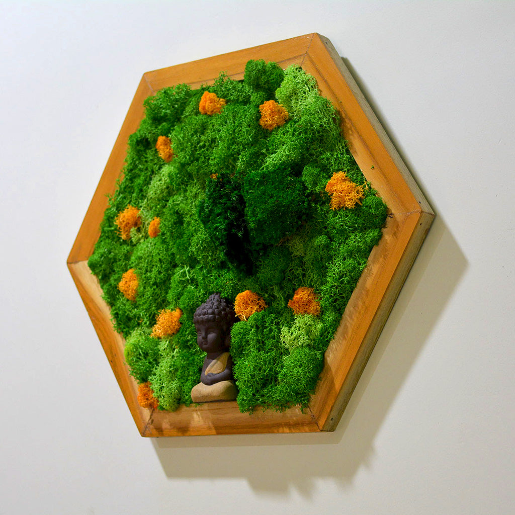 At a Standstill Preserved Moss Frame with Light Wood - myBageecha