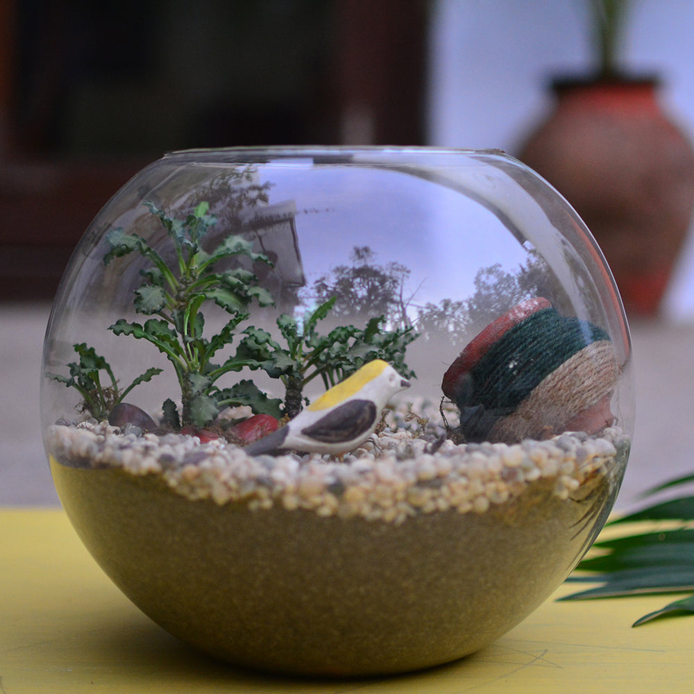 Buy Terrarium Kits Online Create Your Mini Garden MyBageecha