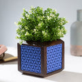 QUBO Boxy Handmade Wooden Indoor Planter Pot