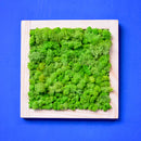 Classic Green Moss Frame with Light Wood