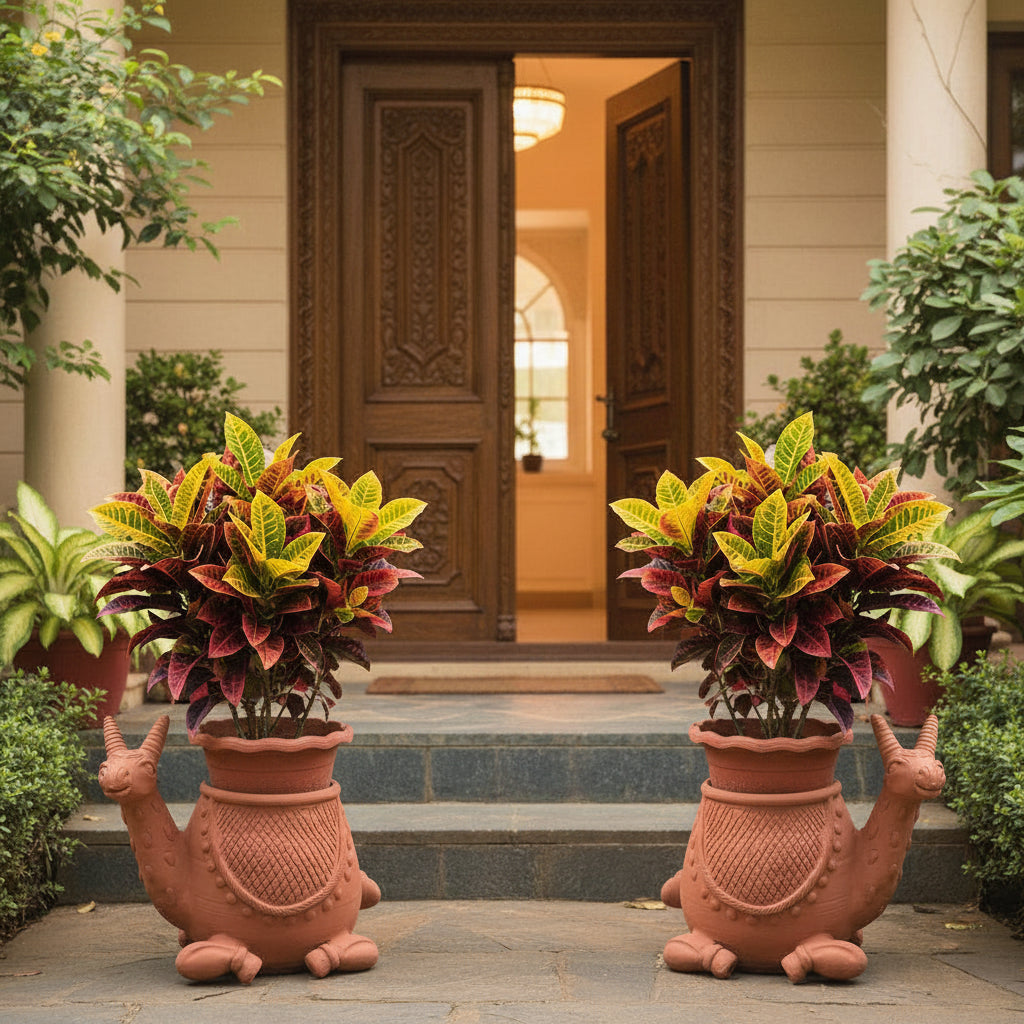 Pair of  Deer Terracotta Pot with Crotons- myBageecha
