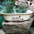 Designer Bonsai Ceramic Planter