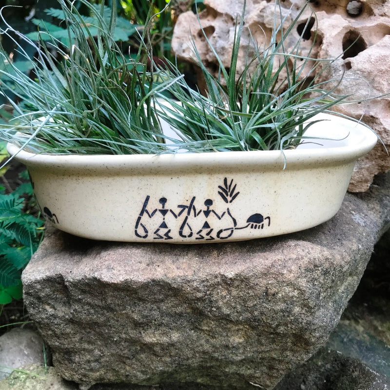 Designer Bonsai Ceramic Planter