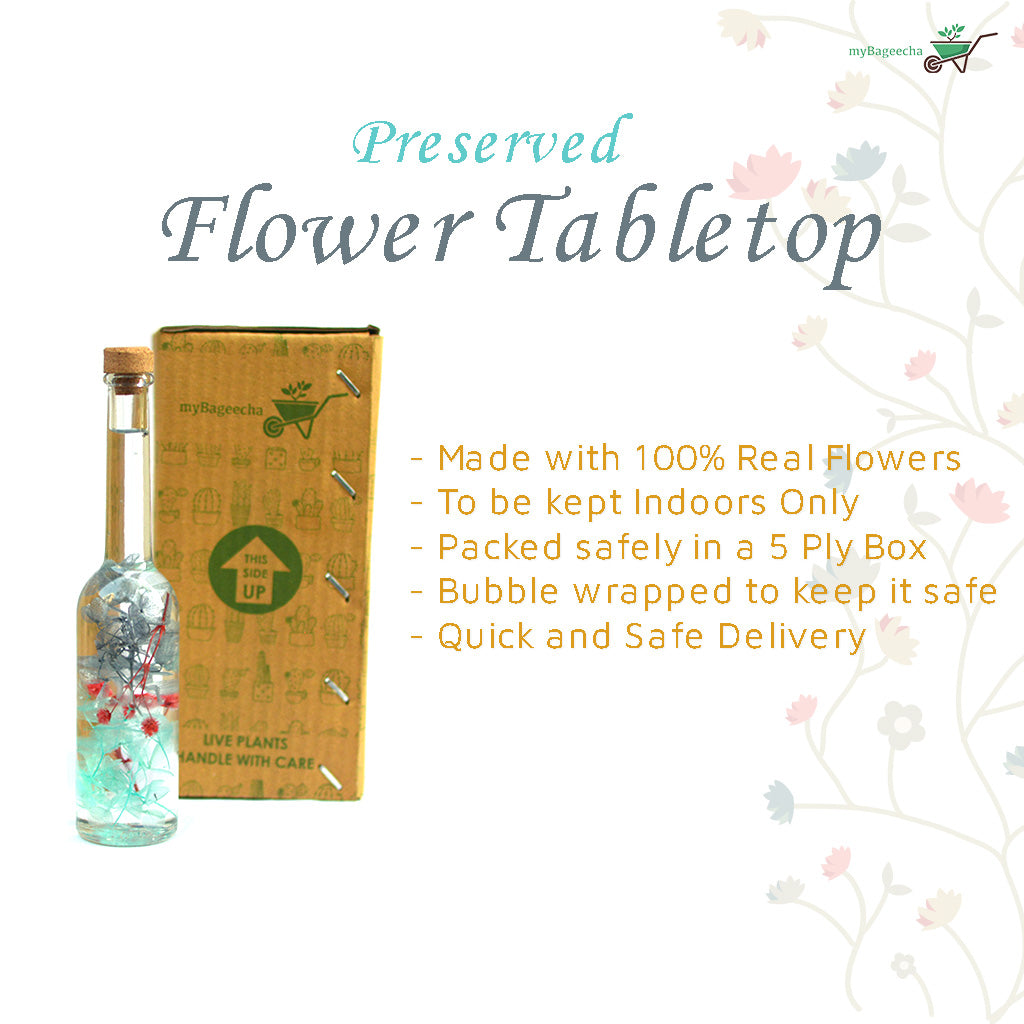 Diablerie Stir Preserved Flower Tabletop - myBageecha