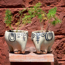 Set of 2 Elephant Succulent Pots Garden Essentials myBageecha - myBageecha