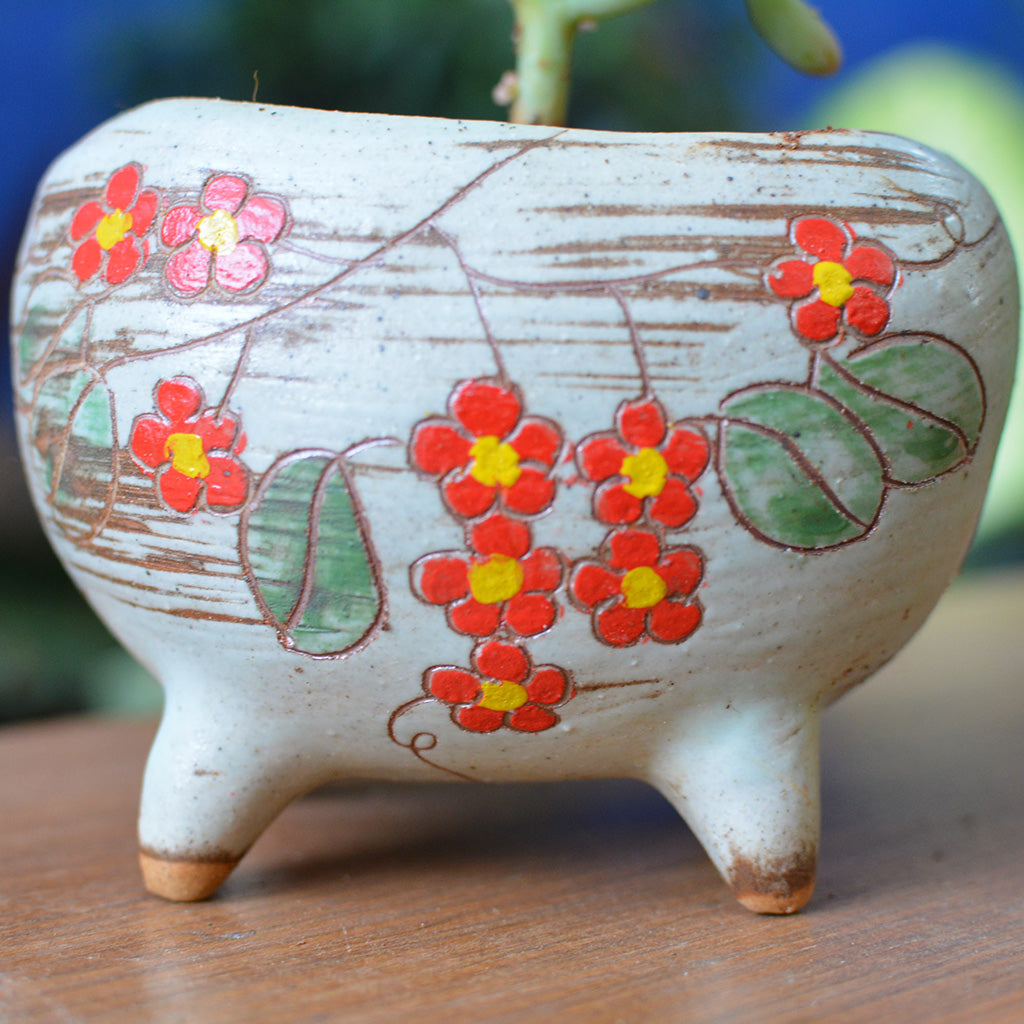 Etched in Bloom Ceramic Pot - myBageecha