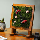 Fern Furor Tabletop Preserved Moss Frame with Stand