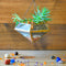 Floating Grasslands Terrarium Kit Decor myBageecha - myBageecha