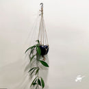 Galaxial Black Hanging Metal Pot with Rope
