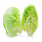 Organic Iceberg lettuce
