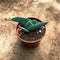 Crassula Falcata Succulent Plant