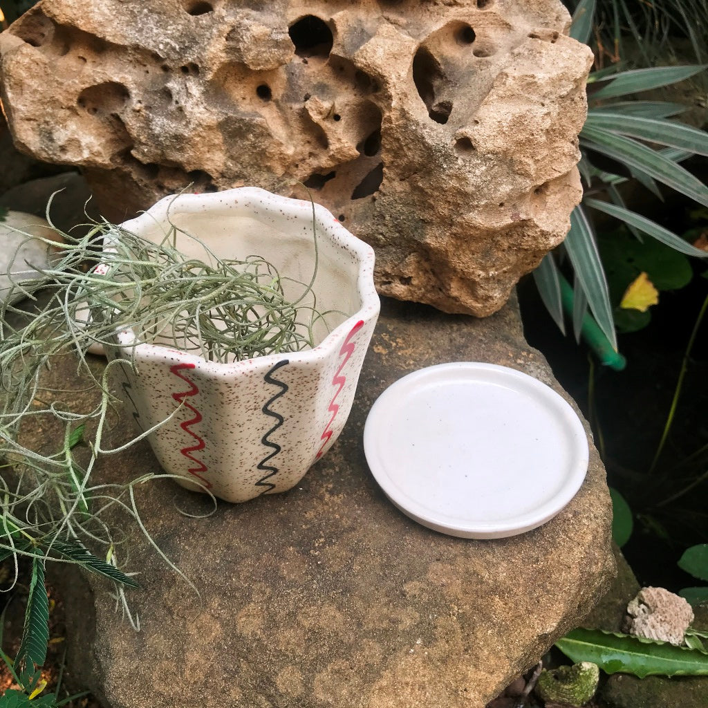 Zig Zag Cream Ceramic Pot With Tray - myBageecha