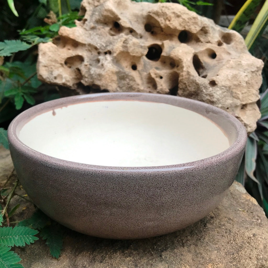 Exotic Metallic Bonsai Ceramic Pot (Medium) - myBageecha