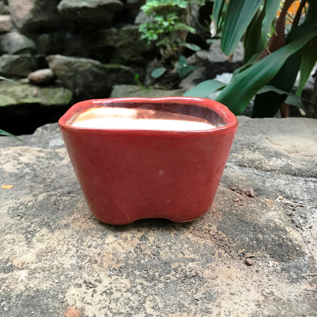 Square Bonsai Ceramic Planter - myBageecha