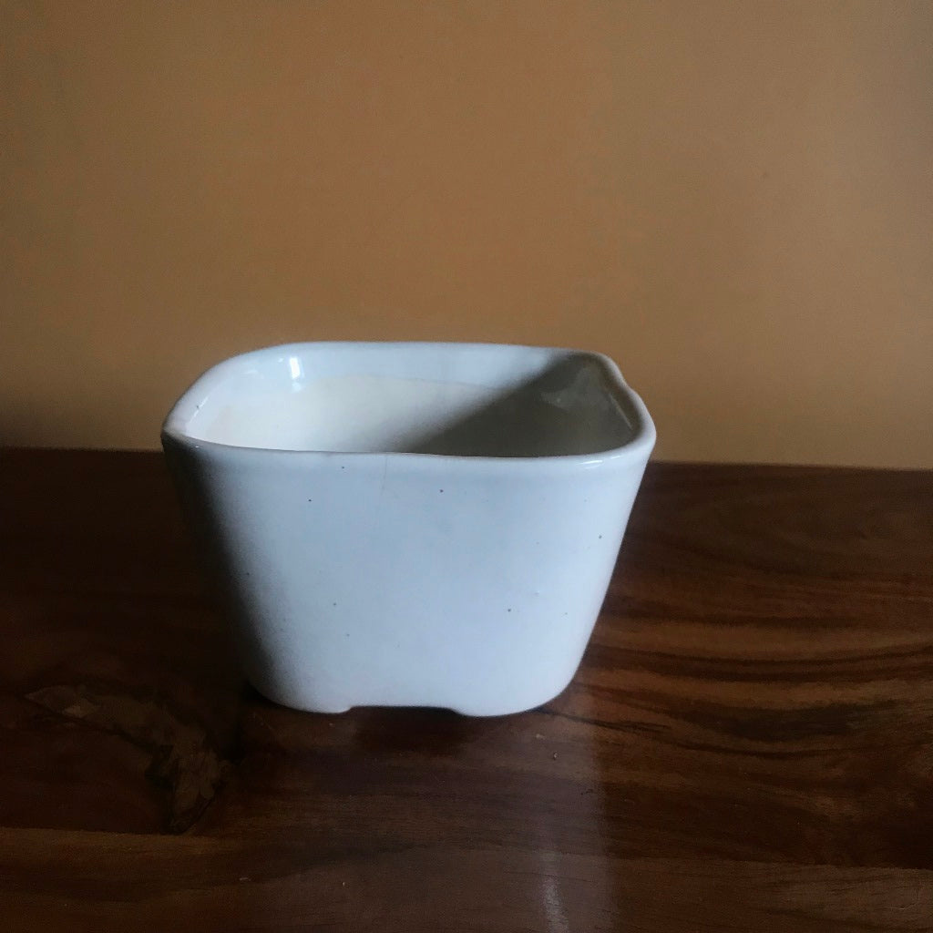 Square Bonsai Ceramic Planter - myBageecha