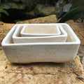 Rectangular Bonsai Ceramic Tray Set