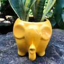 Royal Elephant Ceramic Planter