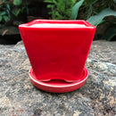 On the Move Ceramic Pot With Tray