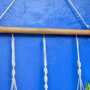 Set of 3 Hanging Kokedama Pothos Plants with Bamboo Stand