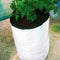 LDPE Grow Bag (Circular) Garden Essentials myBageecha - myBageecha