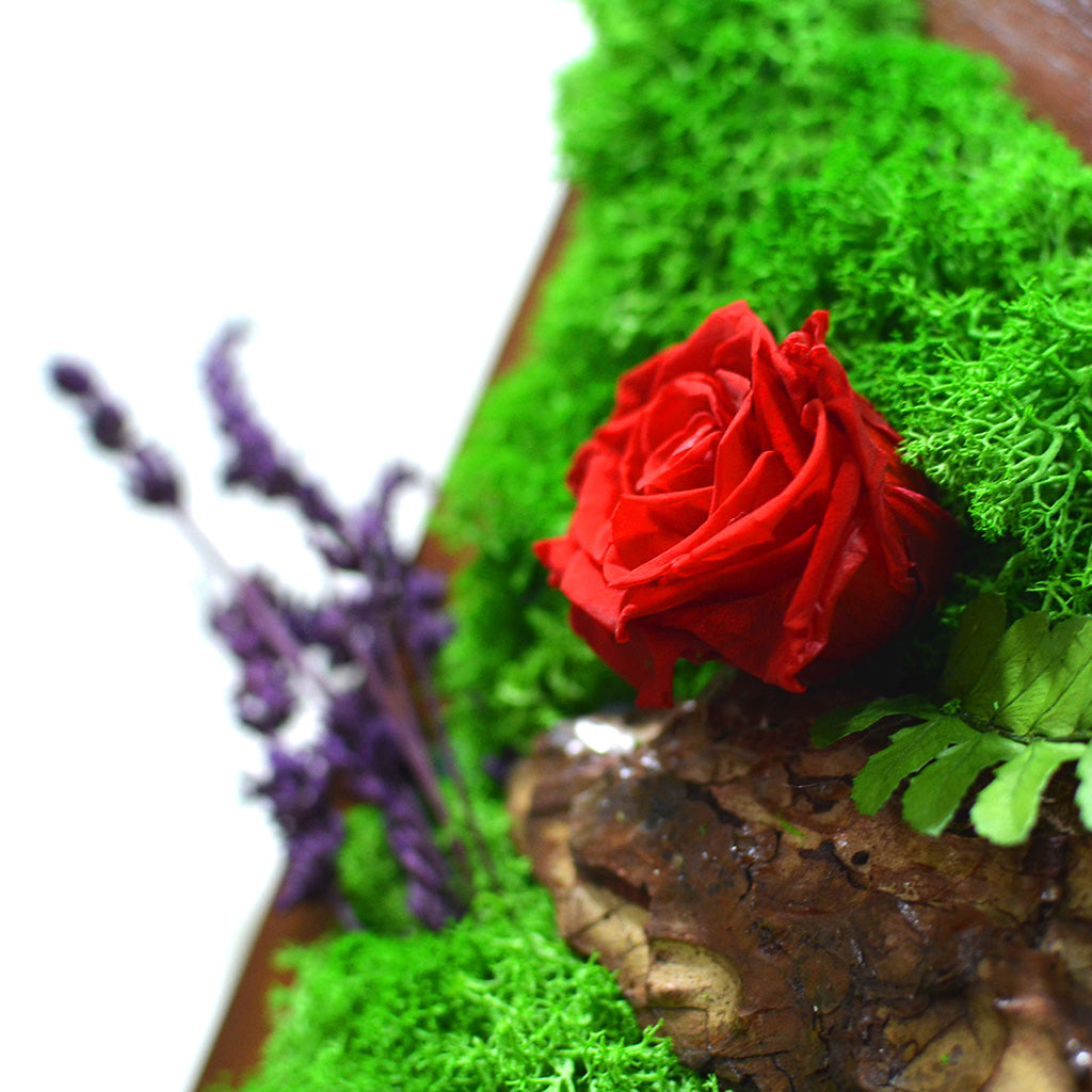 Love & Lavender Preserved Moss Frame with Dark Wood - myBageecha
