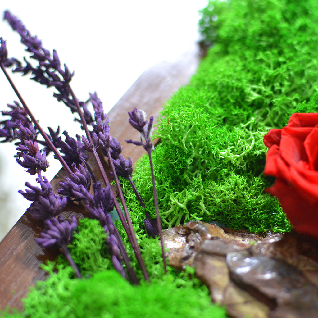 Love & Lavender Preserved Moss Frame with Dark Wood - myBageecha