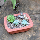 Set of 3 Lined Rectangle Terracotta Pot