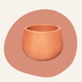 Set of 3 Misa Terracotta Pot