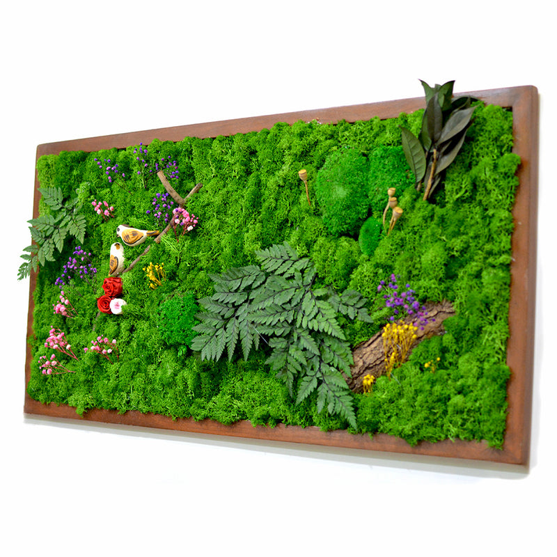 Nature's Trail Moss Frame with Dark Wood