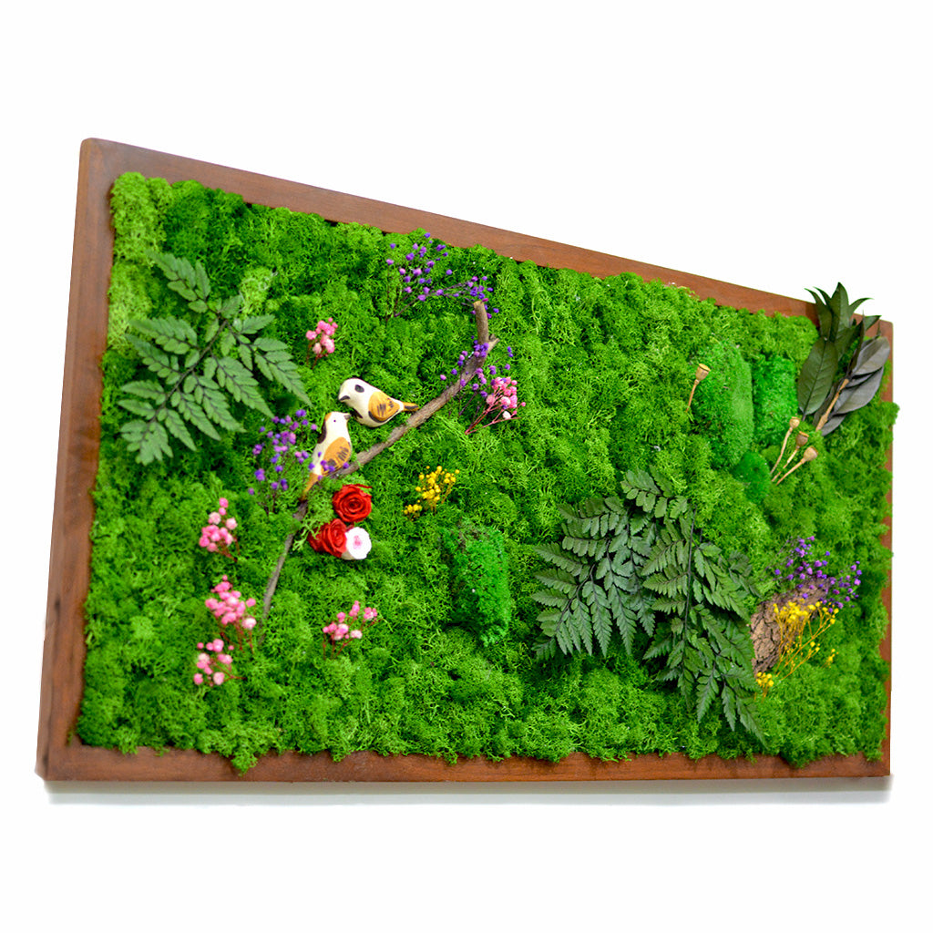 Nature's Trail Preserved Moss Frame with Dark Wood - myBageecha