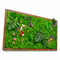 Nature's Trail Moss Frame with Dark Wood