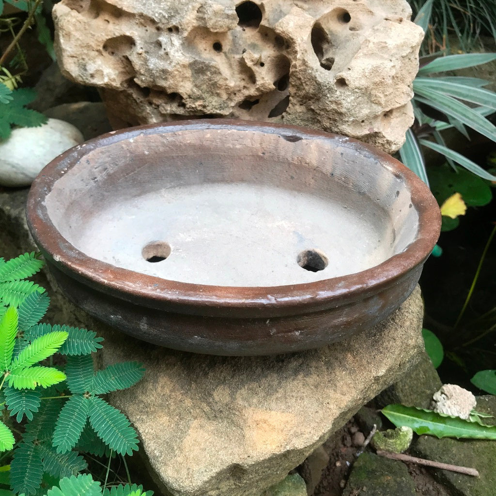 Singe Bonsai Ceramic Tray Set - myBageecha