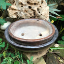 Singe Bonsai Ceramic Tray Set