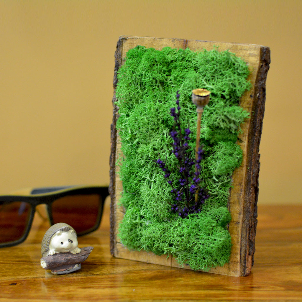 Purple & Poppy Tabletop Preserved Moss Frame in Wooden Bark - myBageecha