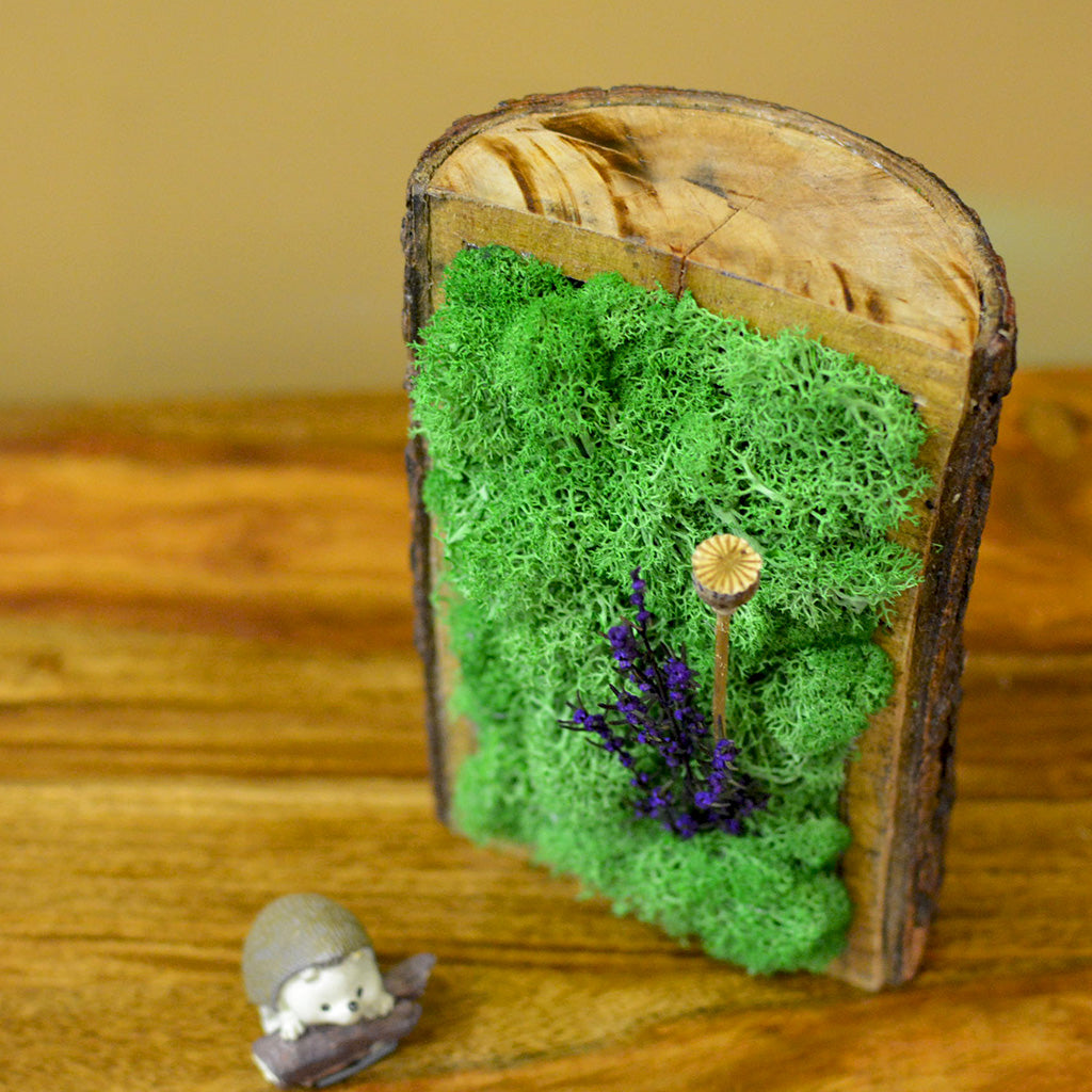 Purple & Poppy Tabletop Preserved Moss Frame in Wooden Bark - myBageecha